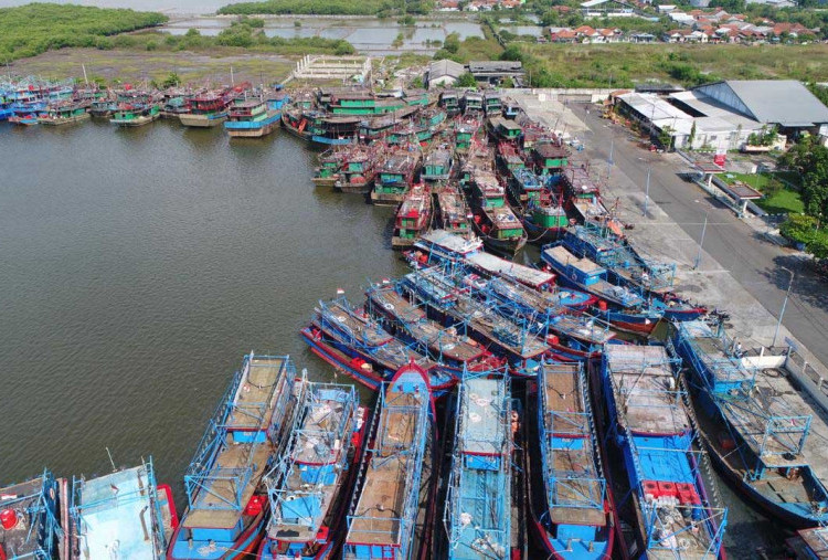 Tetapkan Harga BBM Khusus Kapal 30-200 GT Rp15 Ribu, KKP: Produktivitas dan Daya Saing Perikanan