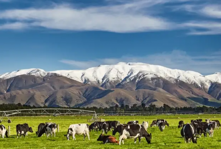 Daftar Negara dengan Puasa 2026 Terlama dan Tercepat di Dunia, Selandia Baru Durasi Mencapai 15 jam