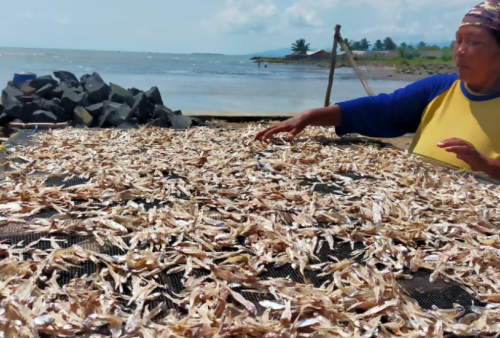 Ribuan Nelayan di Pandeglang akan Jalani Adat Tasyakuran Laut