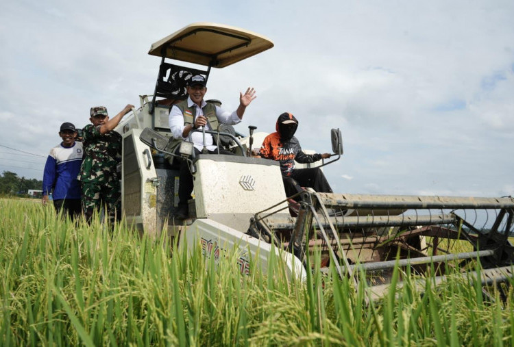 BULOG Tegaskan Penyerapan Gabah Petani Terus Berjalan, Serap 3,24 Juta Ton Beras hingga Juni 2026