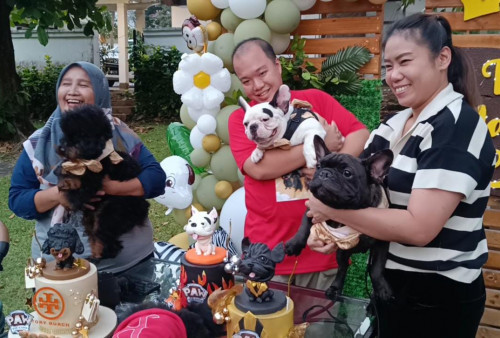 Meriahnya Ultah Tiga Ekor Anjing Rescue yang Dirayakan Sambil Berkemah 