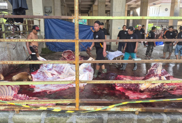 PWNU Jatim Sembelih 7 Ekor Sapi Kurban, Termasuk Milik Khofifah dan Menag Nasaruddin Umar  