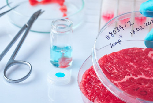 Perjalanan Lab Grown Meat dan Target Harga Rp 120 Ribu Per Kilogram 