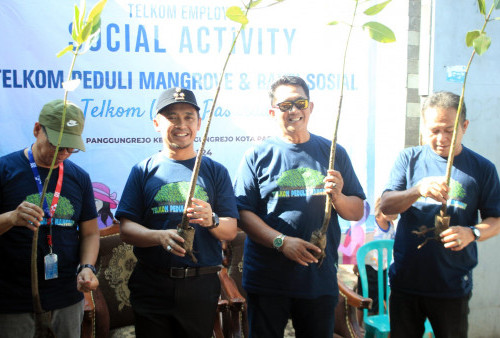 Mas Adi Tanam Mangrove di Pesisir Kota Pasuruan 