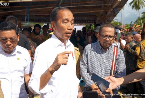 Jokowi Sebut Pemerintah Cukup Kesulitan dalam Menjaga Stabilitas Harga Beras