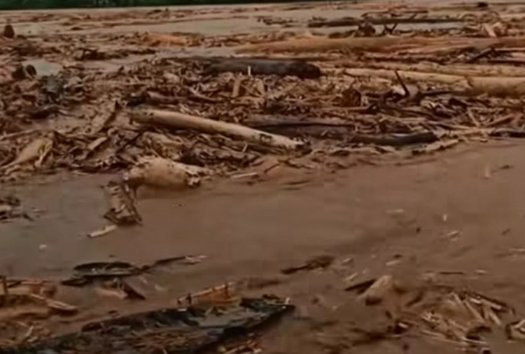 Pemerintah Telusuri Asal Kayu Gelondongan Banjir Sumatra, Satgas Gunakan Citra Satelit