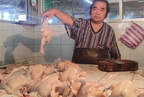 Harga Ayam Menanjak Tembus Rp 55 Ribu Per Kilogram di Pasar Tomang Barat