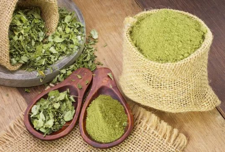 7 Manfaat Daun Kelor, Superfood Alami yang Tingkatkan Kesehatan Tubuh dan Cegah Penyakit