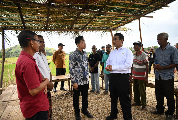 Dukung Swasembada Pangan, Wapres Gibran Serahkan Bantuan Traktor dan Pompa Air Untuk Petani di Sikka NTT