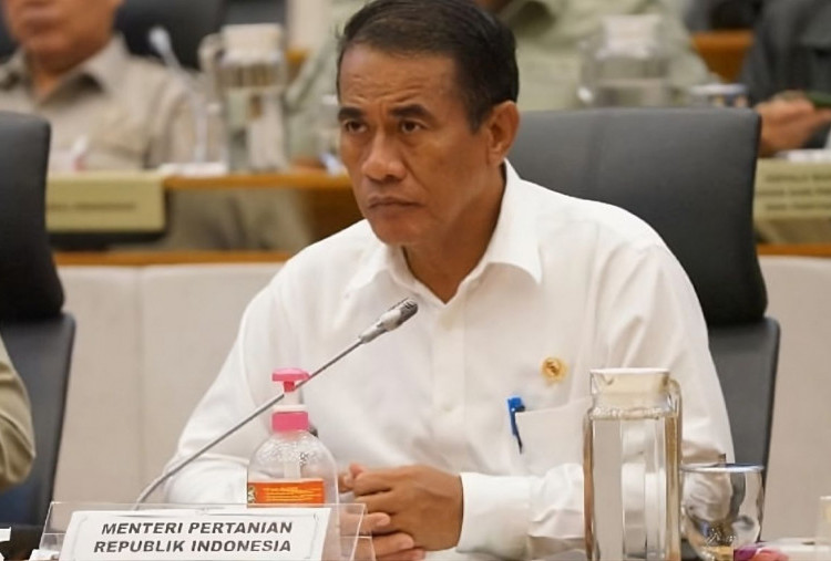 Beras Bantuan 360 Ton Digelontorkan, Pemerintah Waspadai Celah Pengoplos Nakal