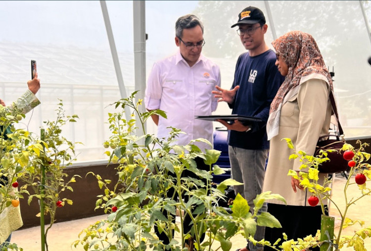 UG Perkenalkan Teknologi Smart Greenhouse START, Apa Saja Hebatnya?
