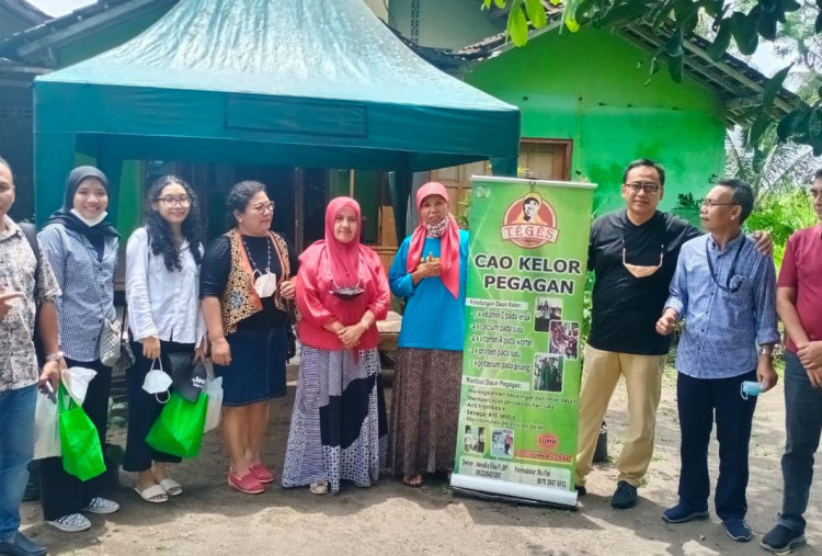 Berkat KUR BRI, Pengusaha Wanita Ini Berhasil Sulap Kelor Jadi Aneka Olahan Pangan Favorit
