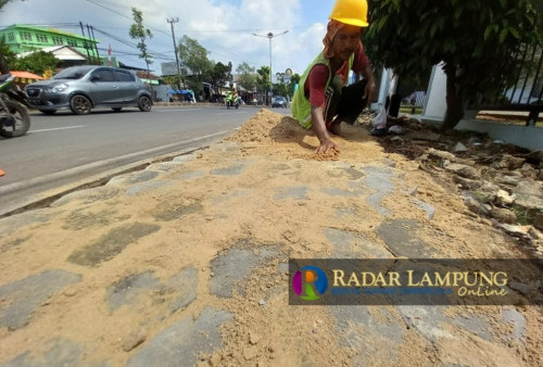 Pekerja Perbaiki Trotoar Jl. Z.A. Pagar Alam, Kemana Paving Block Sebelumnya?