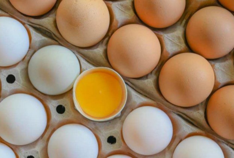 Perbandingan Kalori dan Kandungan Gizi Telur Bebek dan Telur Ayam Kampung