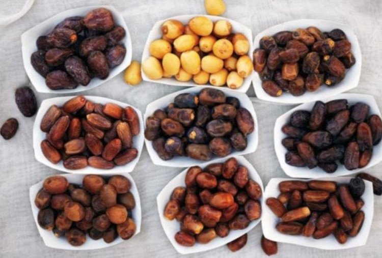 Jenis Kurma Paling Rendah Gula untuk Penderita Diabetes di Tahun 2026