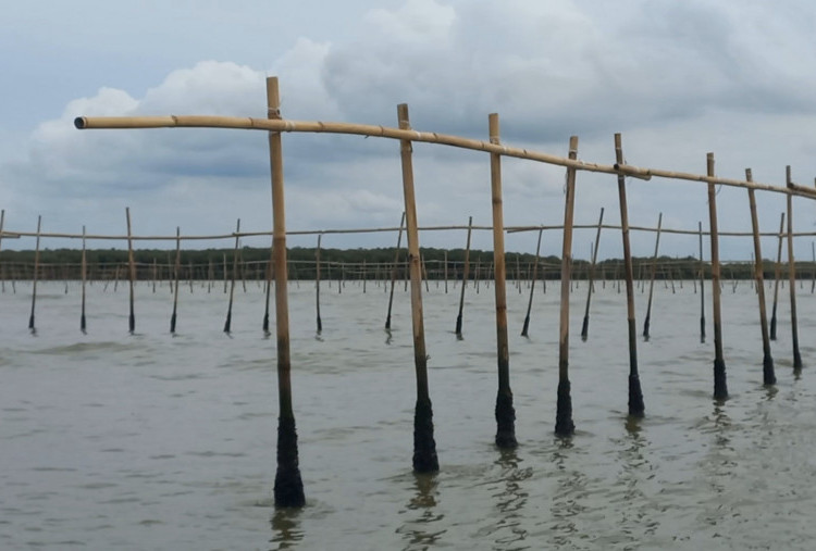 Kesaksian Nelayan Soal Pemasangan Pagar Laut Misterius di Pesisir Tangerang: Mereka Pakai 3 Perahu Kecil