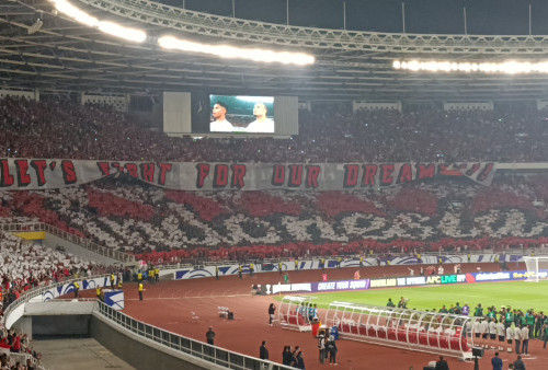 Ini Tugas dan Tanggung Jawab Steward, Petugas yang Diserang Oknum Bobotoh