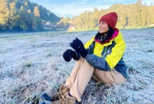 Viral, Fenomena Frozen Langka di Gunung Semeru