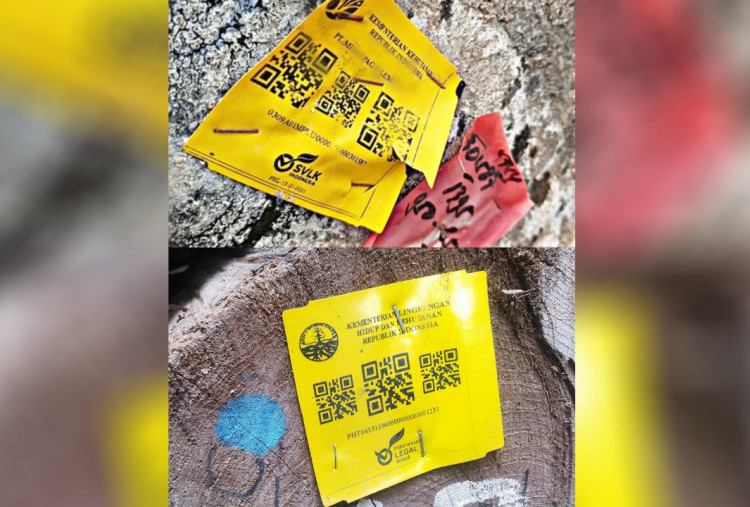 Terungkap Isi Barcode Kayu Gelondongan yang Terdampar di Pesisir Barat Pantai Lampung, Ada Label Kementerian Kehutanan RI dan PT Minas Pagai Lumber.