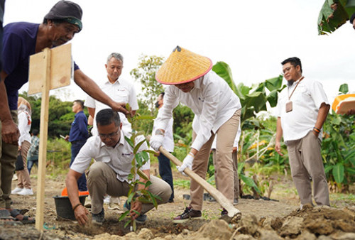 Wamen Kemendes PDTT Kunjungi Program Pemberdayaan Masyarakat Berbasis Agribisnis yang Dilakukan PT Timah Tbk