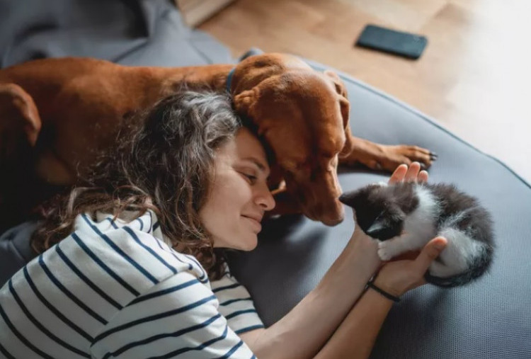 Kegemaran Memelihara Anjing atau Kucing Bisa Mengungkap Sisi Psikologis Pemeliharanya