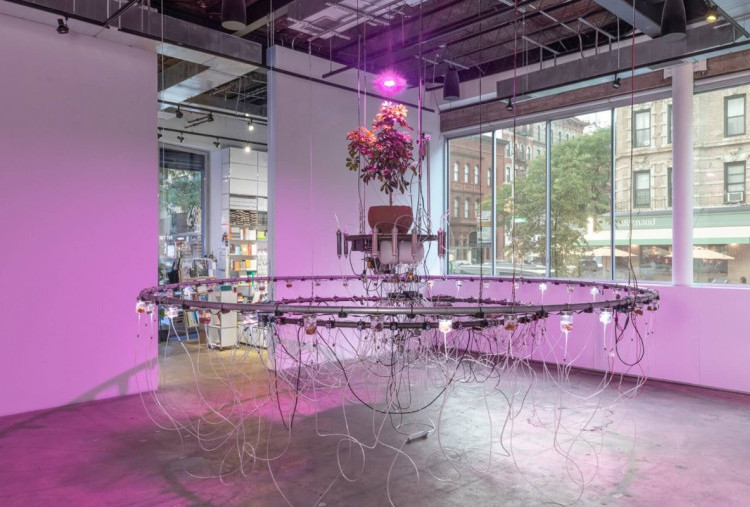 Jurnal Baru RUANG// Soroti Praktik Seni sebagai Bentuk Penelitian di Asia Tenggara