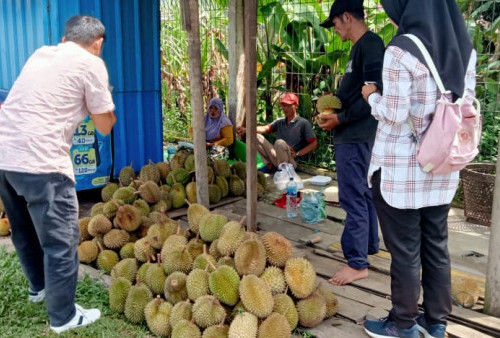Durian Lokal 'Banjiri' Kota Lubuklinggau