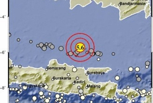 Gempa Magnitudo 5,6 Tuban, BMKG: Tercatat Ada 454 Rangkaian Gempa Laut Jawa 