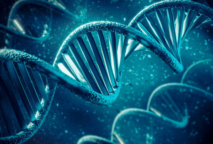Peneliti Temukan Jejak Dua Leluhur 'Hantu' dalam DNA Manusia Modern