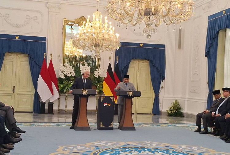 Terima Kasih Prabowo Usai Kunjungan Presiden Steinmeier: Momentum Penguatan Kedua Bangsa