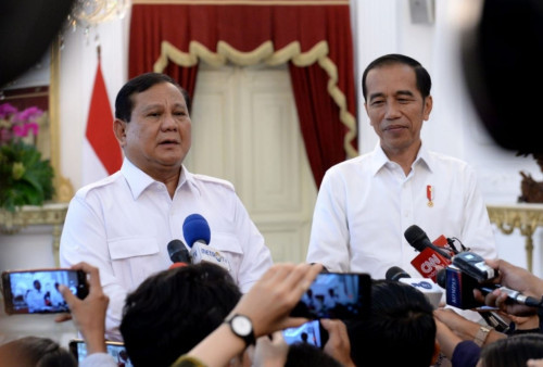 Respon TKN Prabowo-Gibran Soal Dukungan Presiden Jokowi