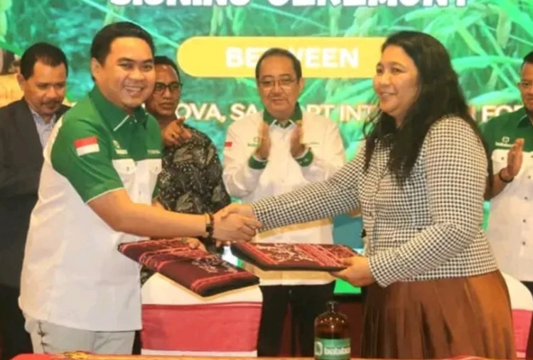 Bobibos, Bahan Bakar dari Jerami Ekspansi ke Timor Leste, Kelola 25.000 Hektare Lahan Produksi
