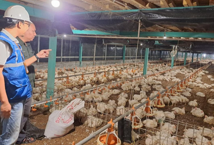 Tok! Pemerintah Putuskan Tarif Listrik Triwulan II 2026 Tidak Naik: Pasokan Tetap Aman