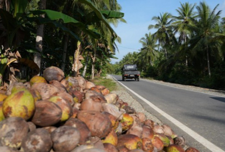 Inpres Jalan Daerah Dimulai Lagi Kuartal III 2025, Total 4 Triliun untuk 3 Ribu Proyek