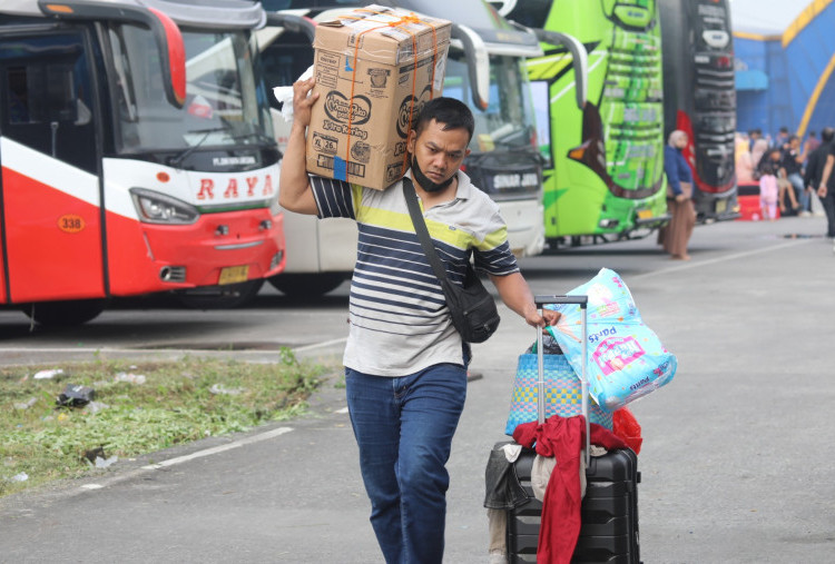 Mudik Gratis Kemenhub, Tersedia 401 Bus, Ini Cara Pendaftarannya