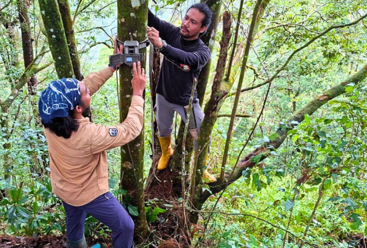 Pemprov Jatim Dorong Kawasan Gunung Lawu Jadi Tahura, Tunggu Persetujuan Kemenhut