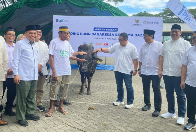Rayakan Iduladha 1446H, PLN Salurkan Daging Kurban di Berbagai Daerah