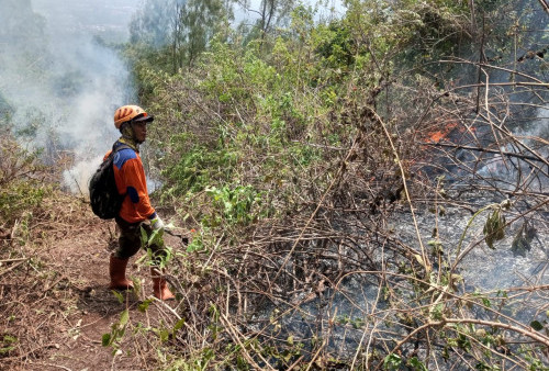Hutan di Gunung Panderman Terbakar, Tim Gabungan Lakukan Upaya Pemadaman