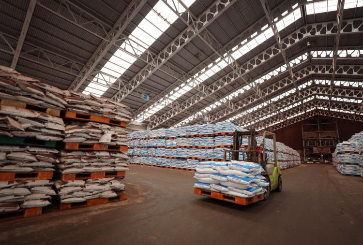 Serapan Pupuk Subsidi Awal Tahun Tinggi, di Sumatera Tembus 683 Ribu Ton