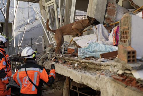 Kisah REDOG: Pasukan K9 Swiss yang Temukan 39 Korban Selamat Gempa Turkiye