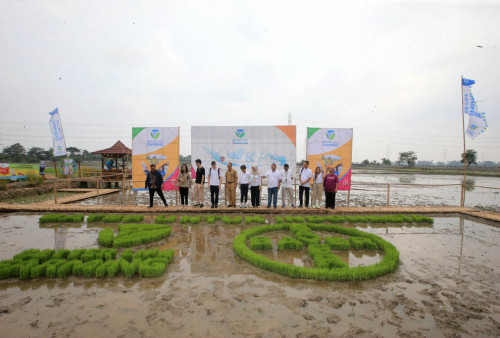 Bayer melalui program BISA berusaha membangun jaringan bidan desa dan menguatkan peran dengan dukungan aplikasi ponsel pintar. Nantinya, aplikasi tersebut akan mengumpulkan data kondisi kesehatan komunitas petani setempat beserta keluarganya.(Raka Denny/Harian Disway)