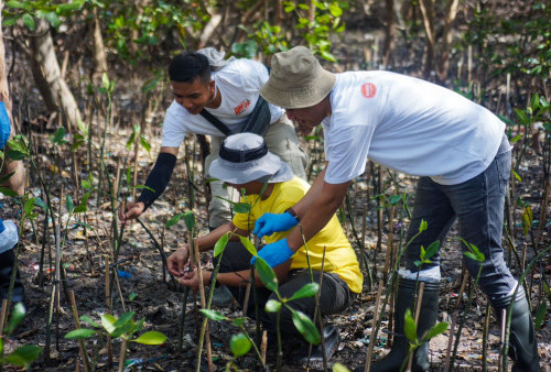 Dukung Sustainability, Ascott East Java Tanam Seribu Pohon Mangrove di Pesisir Wonorejo