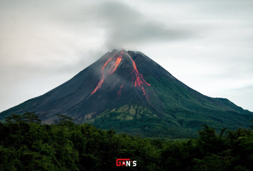 Gunung Merapi Tujuh Kali Luncurkan Guguran Lava Pijar, BPPTKG Tetapkan Status Siaga