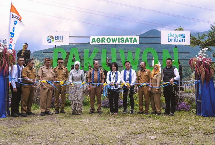 BRI Dorong Ekonomi Desa, Pajambon Jadi Contoh Sukses Pengembangan Potensi Lokal
