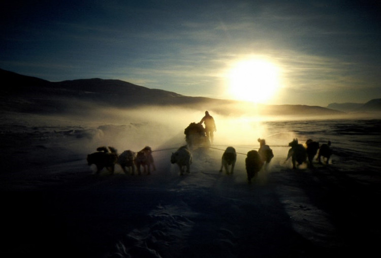 Sirius Dogsled Patrol, Pasukan Pengamanan Greenland yang Diejek Donald Trump: Patroli Tangguh di Kawasan Beku