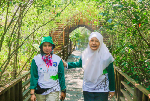 Kebun Raya Mangrove Surabaya: Menyelamatkan Alam dan Menyapa Wisatawan