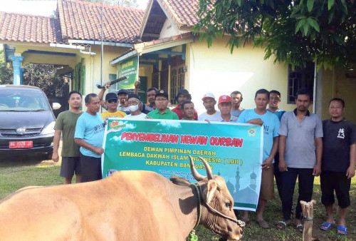 Wujud Ketaqwaan dan Sosial, DPD LDII Banyuasin Lakukan Pemotongan 134 Hewan Qurban