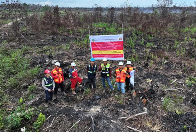 Karhutla Bongkar Borok! Kemenhut Temukan Dugaan Jual-Beli hingga Perambahan Hutan 
