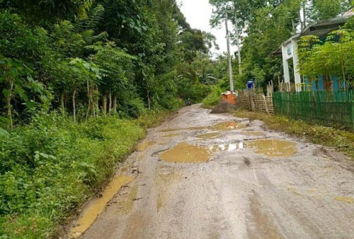 Jika Hujan Jalan Menuju Desa Tanjung Kupang Baru Bak Kubangan Kerbau
