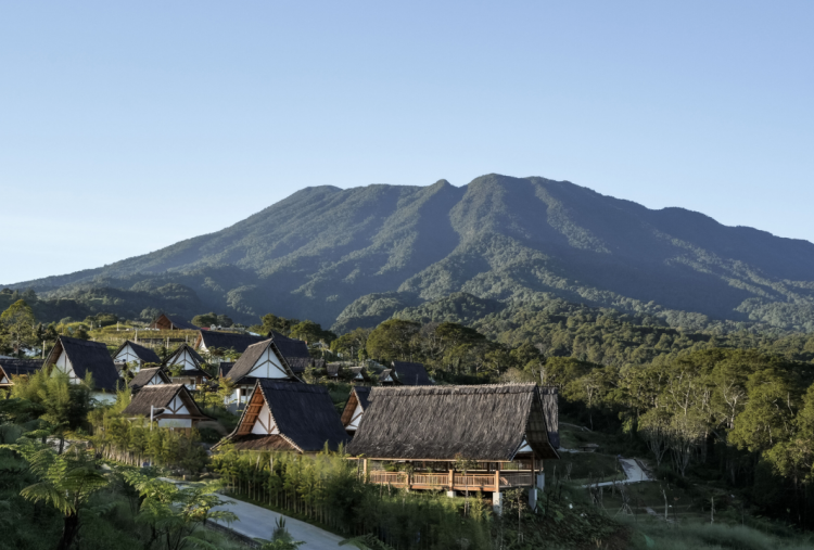 EIGER Nature Perkuat Pemulihan Lingkungan di Puncak, 120 Ribu Pohon Ditanam